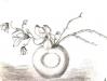 Weisse_Vase
